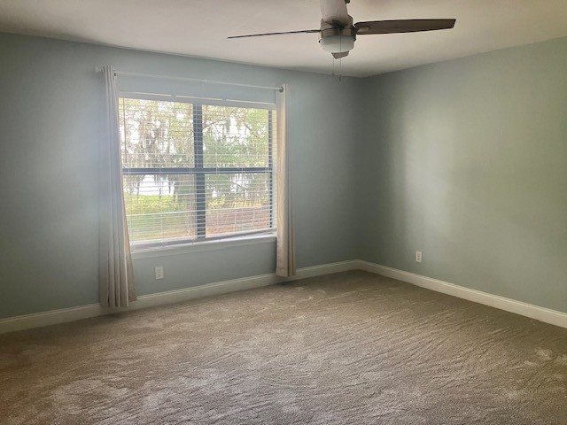 Gallery Photo 4